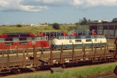 Fredericia, 1. August 1981